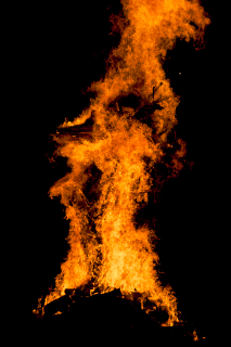 The searhorse burns.