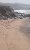 Pacific ocean beach and cliffs.