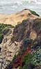 Colorful cliff growth before the Pacific. Colorful cliff growth before the Pacific.
